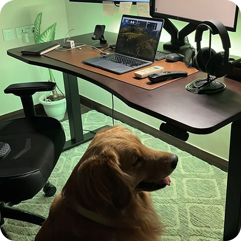 Team member's pet