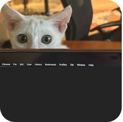 Pet thumbnail 2