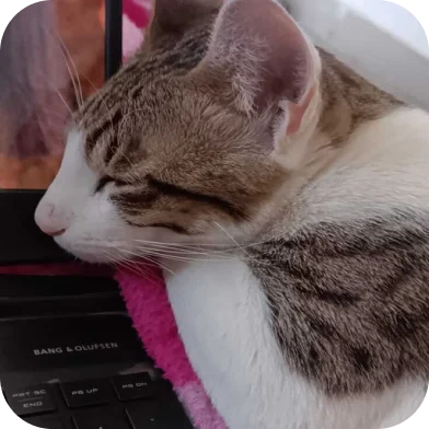 Pet thumbnail 3